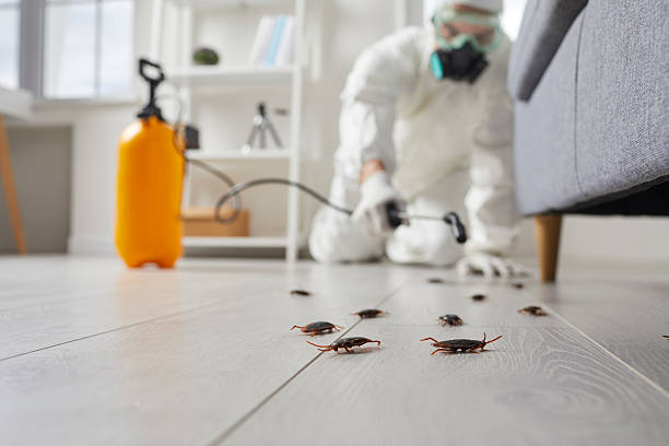 Post-Treatment Bed Bug Interceptor Monitoring in North Barrington